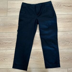 Size 8 Banana Republic Dress Pants (Avery)